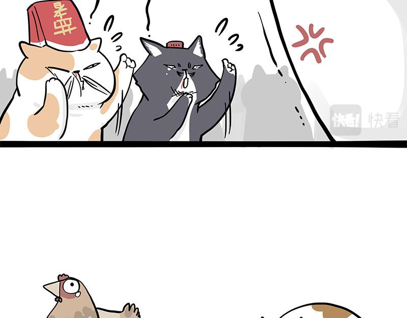 第320话 猫孵鱼25