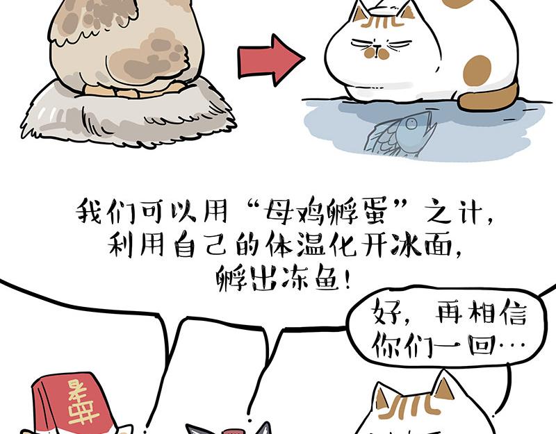 第320话 猫孵鱼26