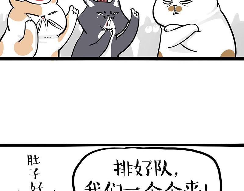 第320话 猫孵鱼27