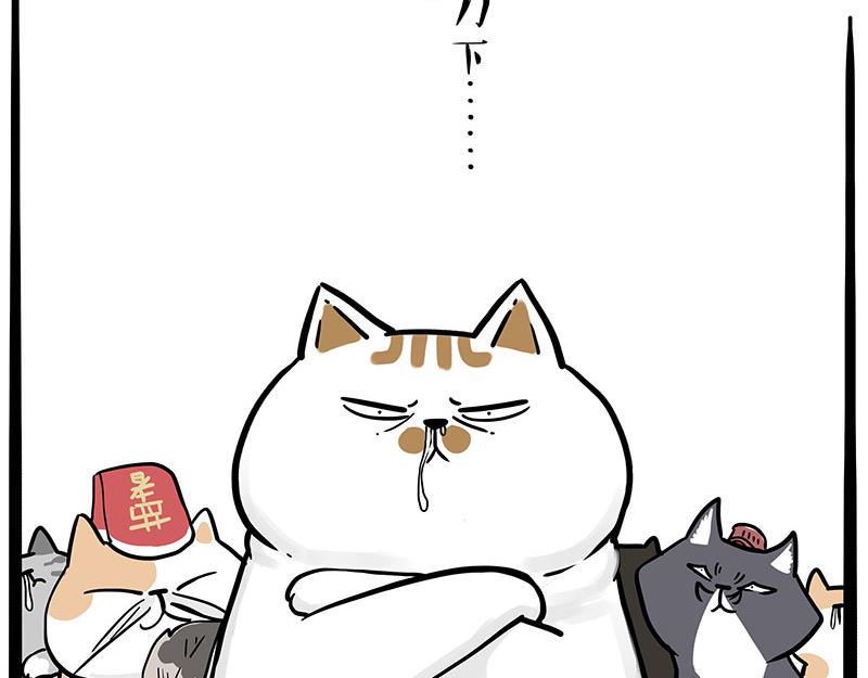 第320话 猫孵鱼30