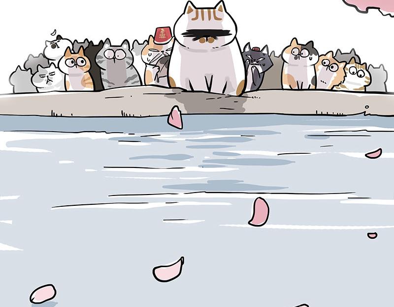 第320话 猫孵鱼34