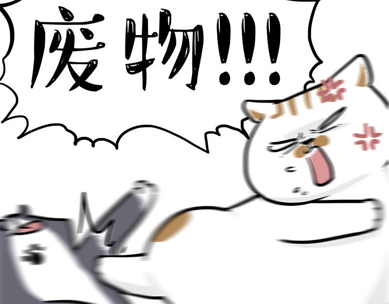第320话 猫孵鱼37