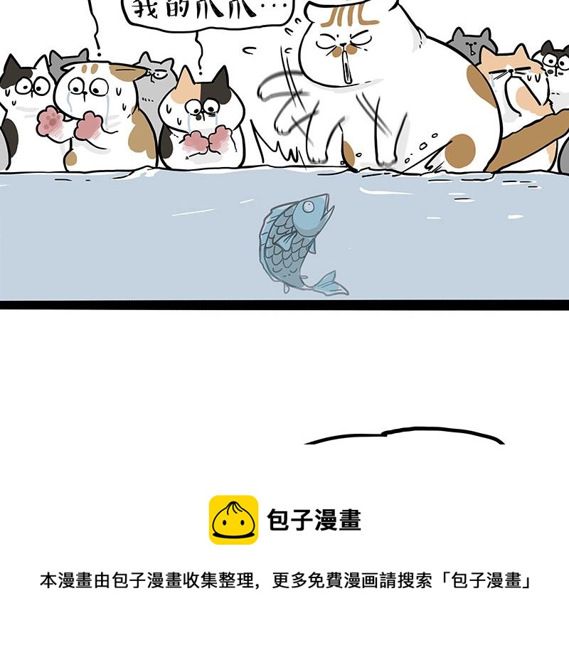 第320话 猫孵鱼4