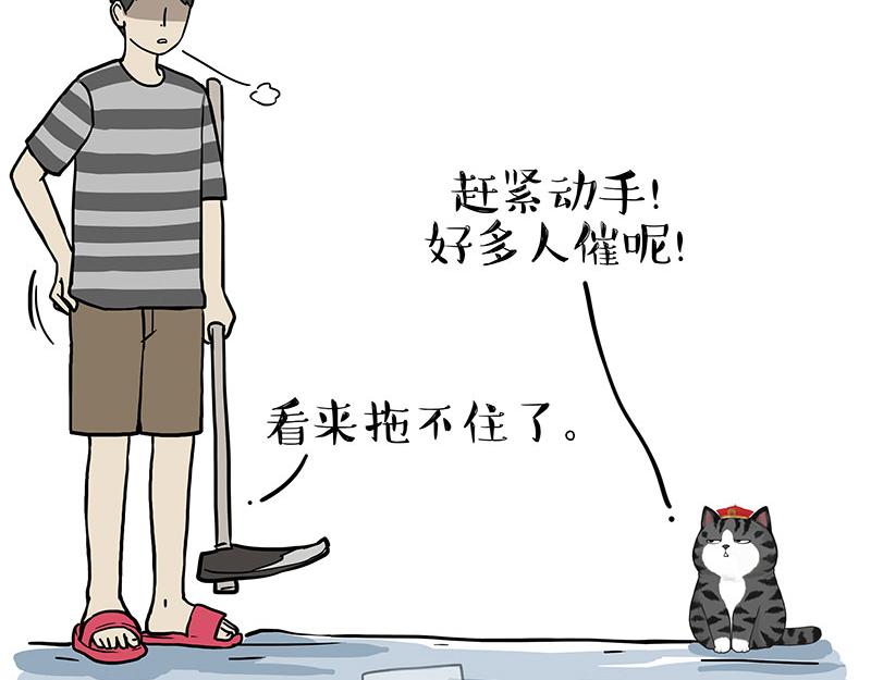 第320话 猫孵鱼57
