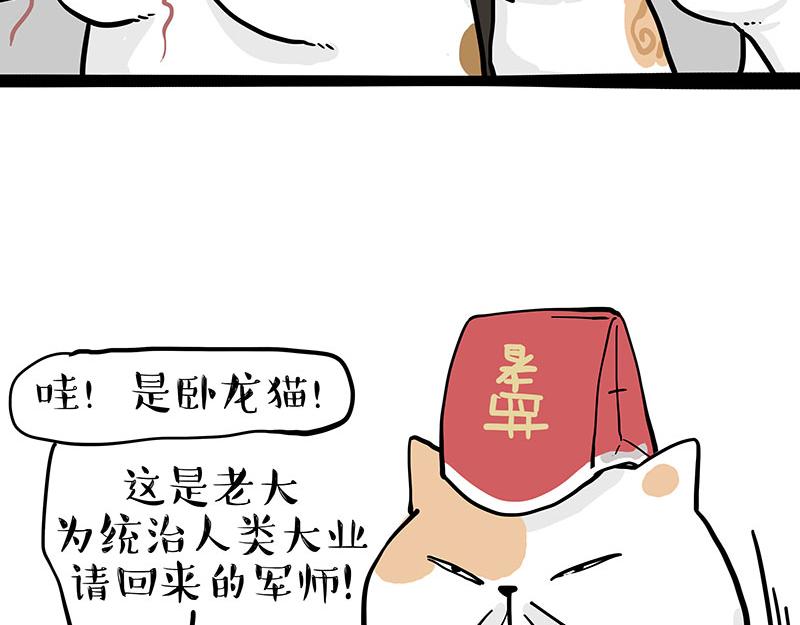 第320话 猫孵鱼6