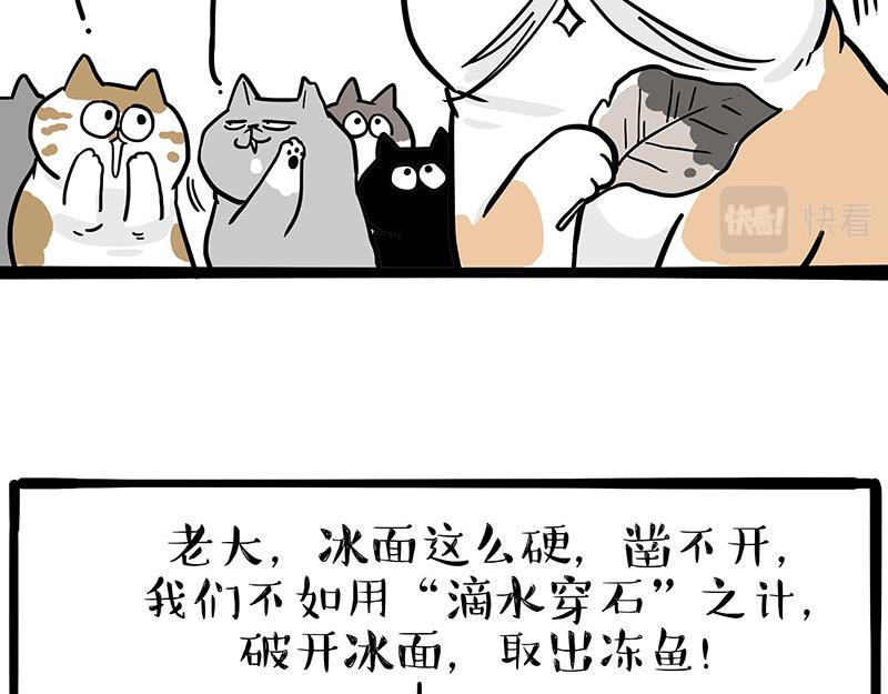第320话 猫孵鱼7