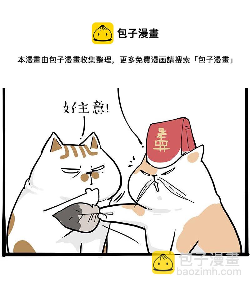 第320话 猫孵鱼8