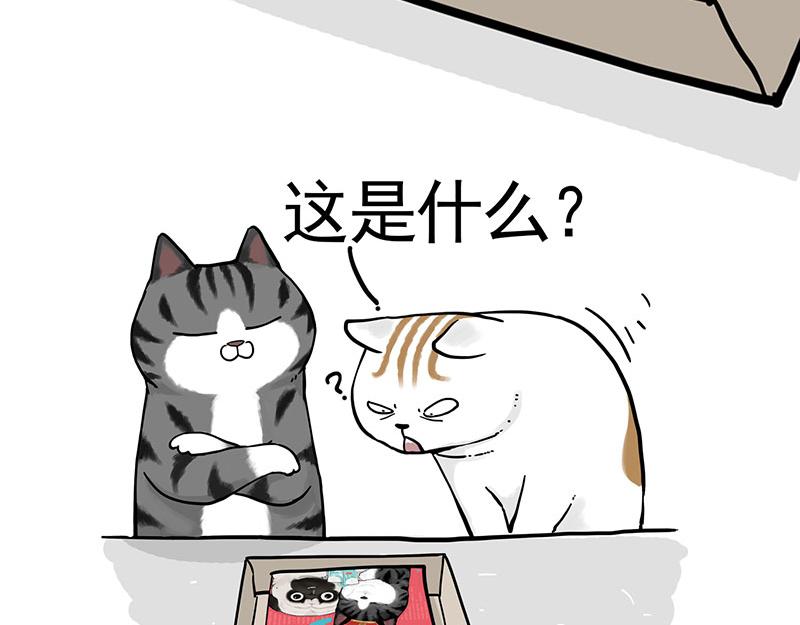 第322话 吾皇的孙子15