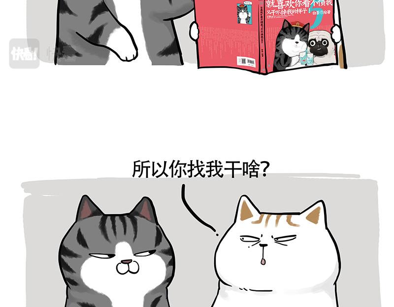 第322话 吾皇的孙子26