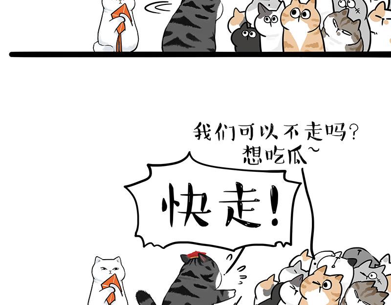 第323话 春日恋情？！25