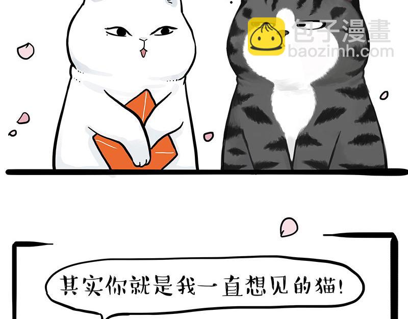 第323话 春日恋情？！28