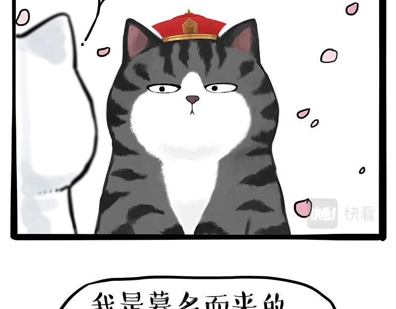 第323话 春日恋情？！29