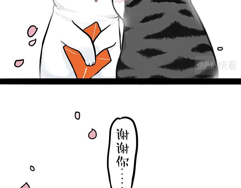 第323话 春日恋情？！42