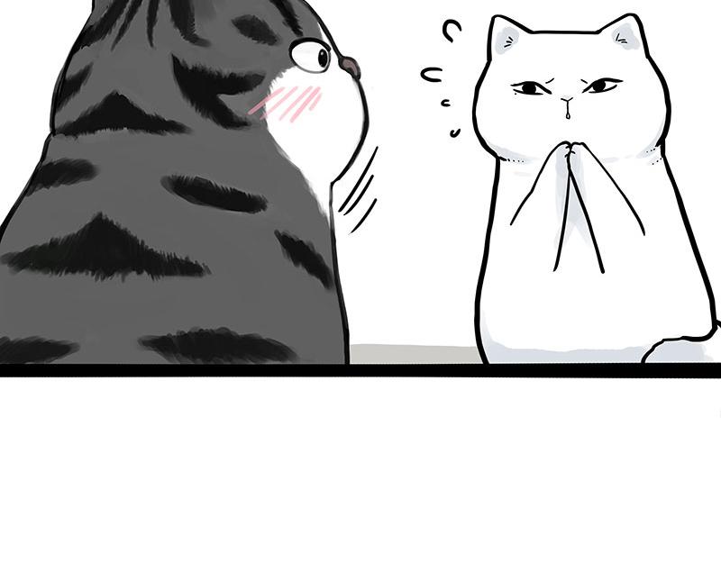 第323话 春日恋情？！9