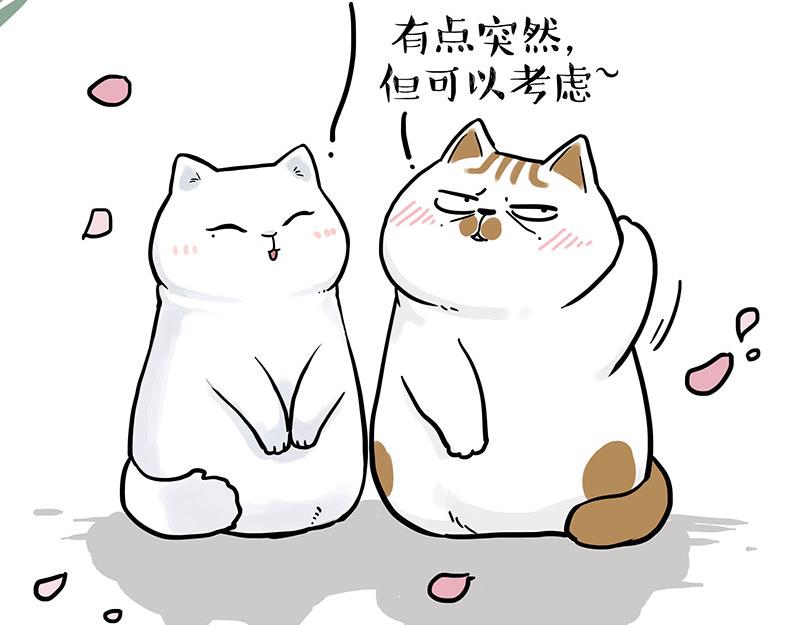 第324话 春天转瞬即逝23