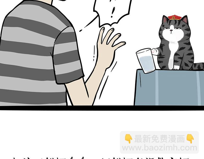 第325话 你不守猫德1