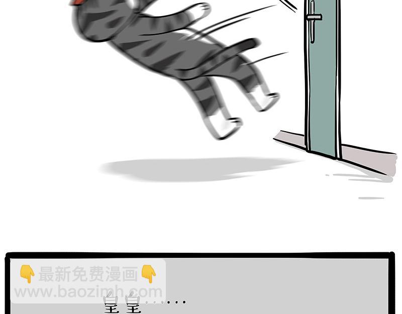 第325话 你不守猫德11