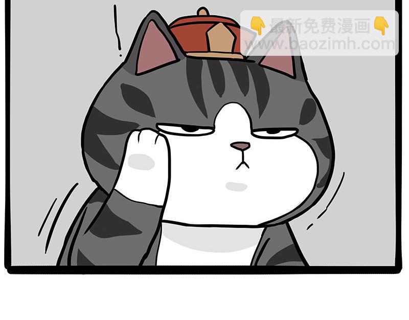 第325话 你不守猫德12