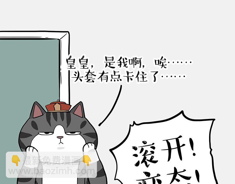 第325话 你不守猫德16