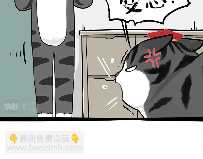 第325话 你不守猫德17