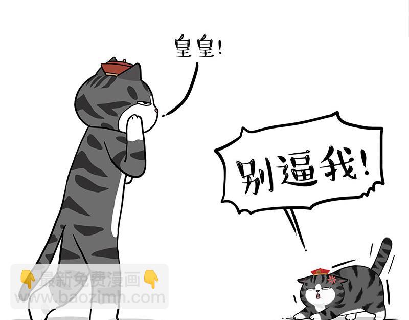 第325话 你不守猫德18