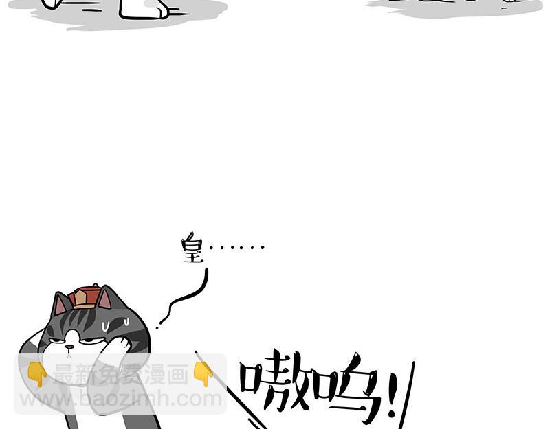 第325话 你不守猫德19