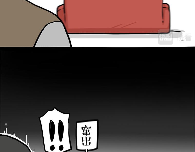 第325话 你不守猫德25
