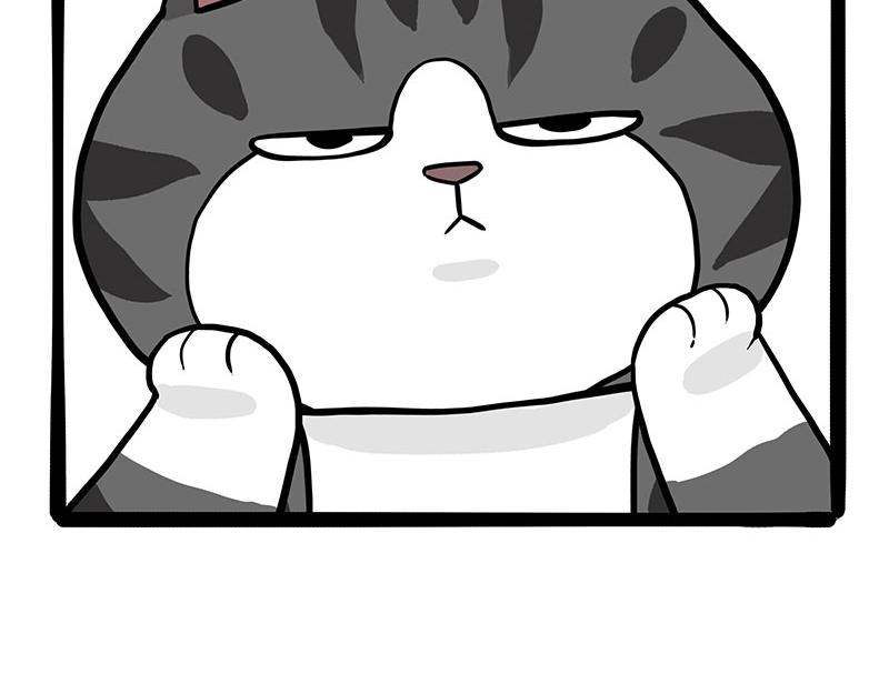 第325话 你不守猫德29