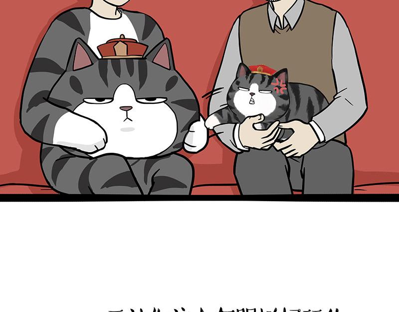 第325话 你不守猫德34