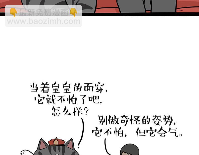 第325话 你不守猫德36