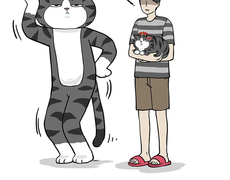 第325话 你不守猫德37