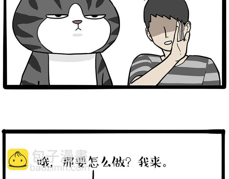 第325话 你不守猫德39