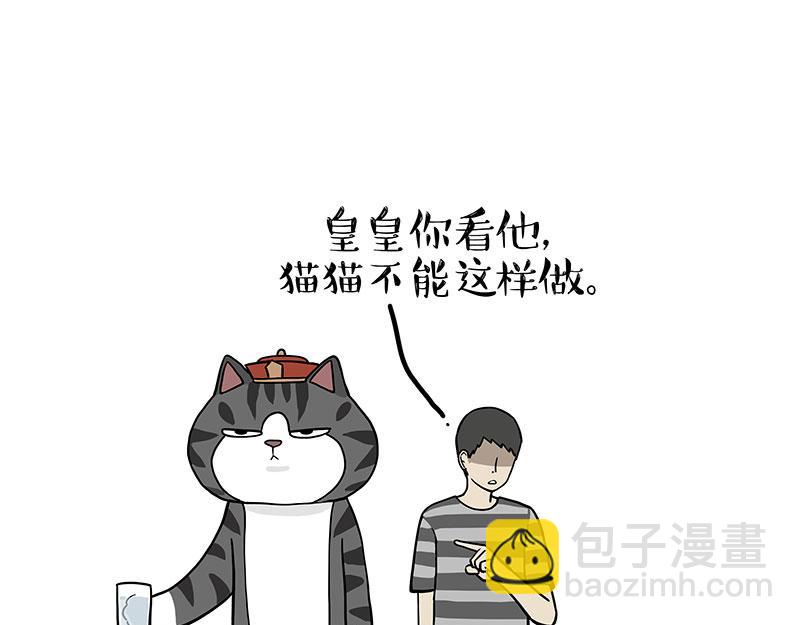 第325话 你不守猫德41