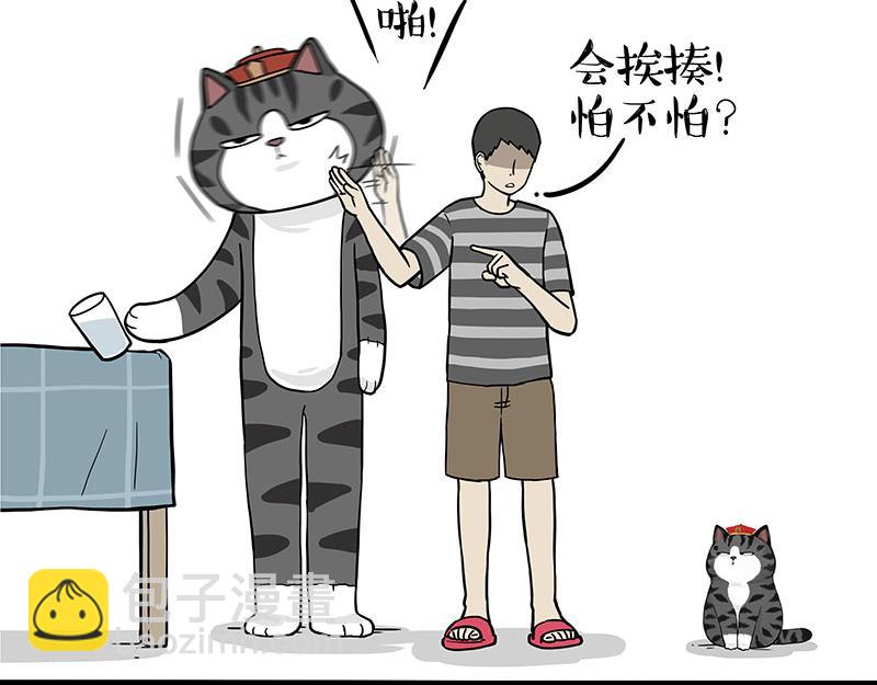 第325话 你不守猫德43