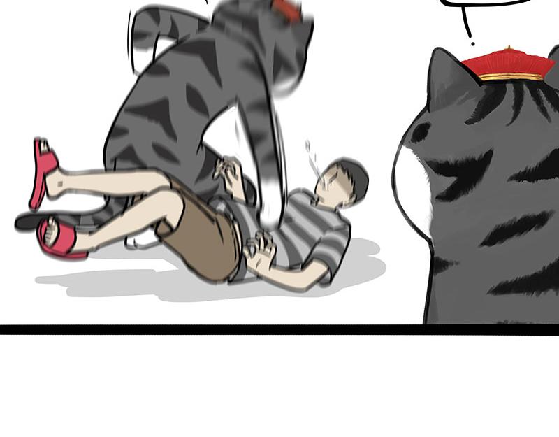 第325话 你不守猫德46