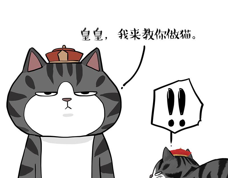 第325话 你不守猫德6