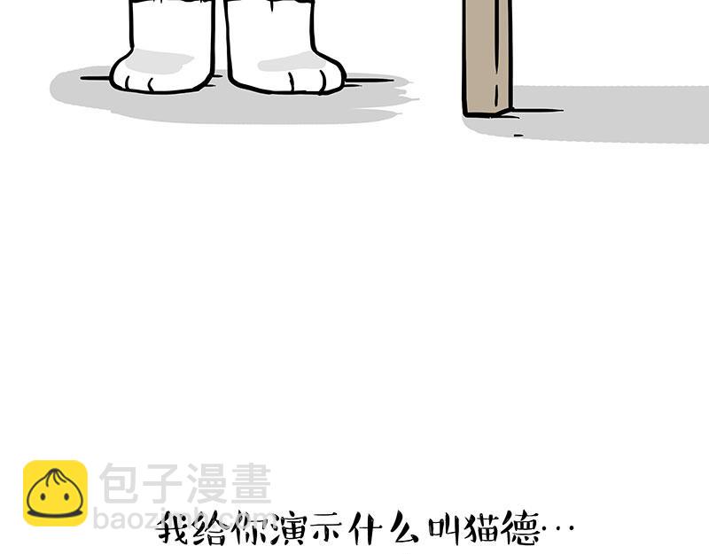 第325话 你不守猫德8