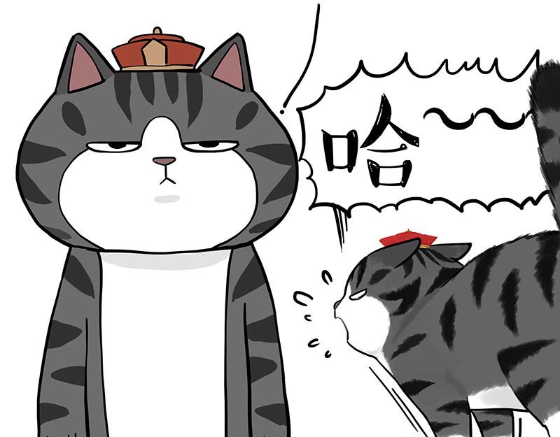 第325话 你不守猫德9