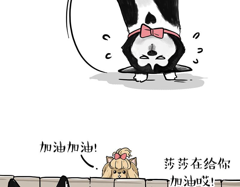 第327话 TA眼中的你11
