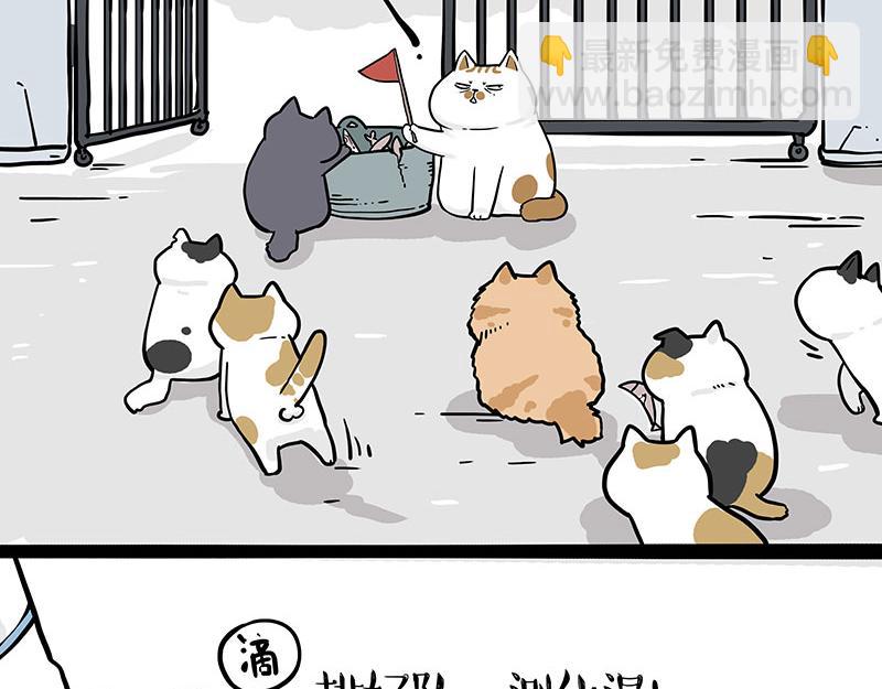 第328话 核酸后遗症21