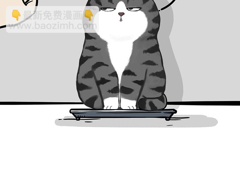 第329话 今天你锻炼了吗？26