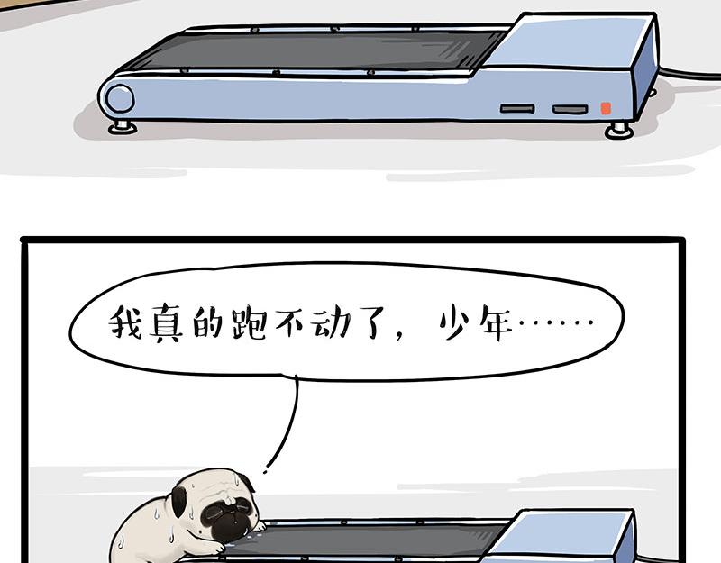 第329话 今天你锻炼了吗？8