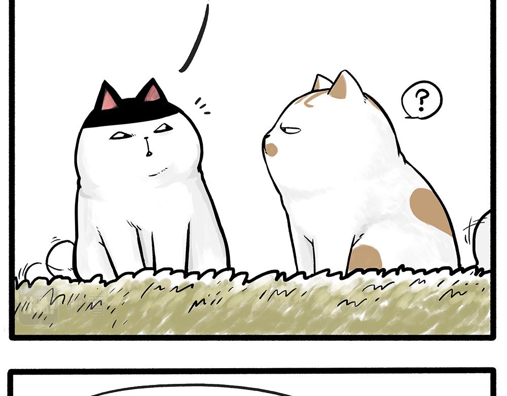 第331话 猫王争霸之“杀青”11