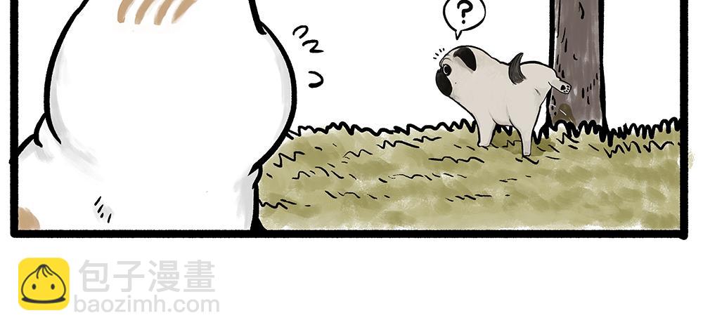 第331话 猫王争霸之“杀青”16