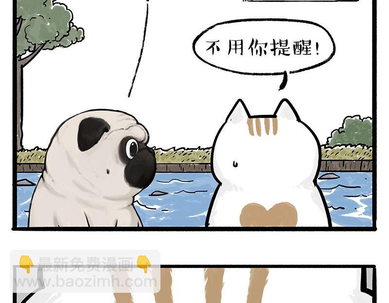 第331话 猫王争霸之“杀青”20