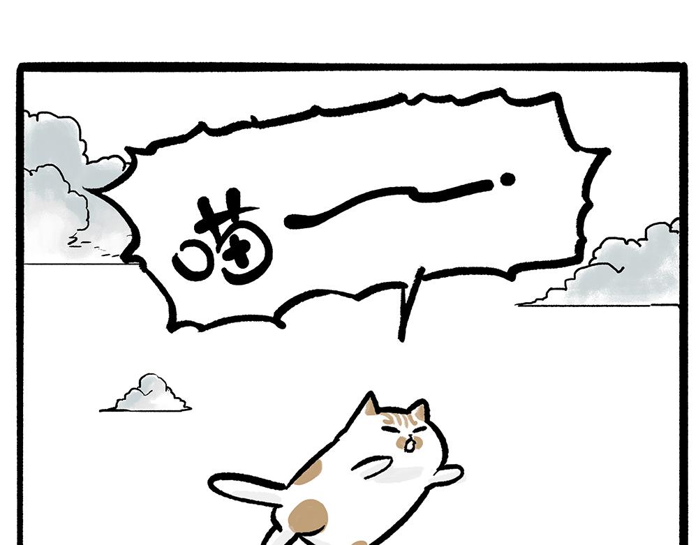 第331话 猫王争霸之“杀青”26