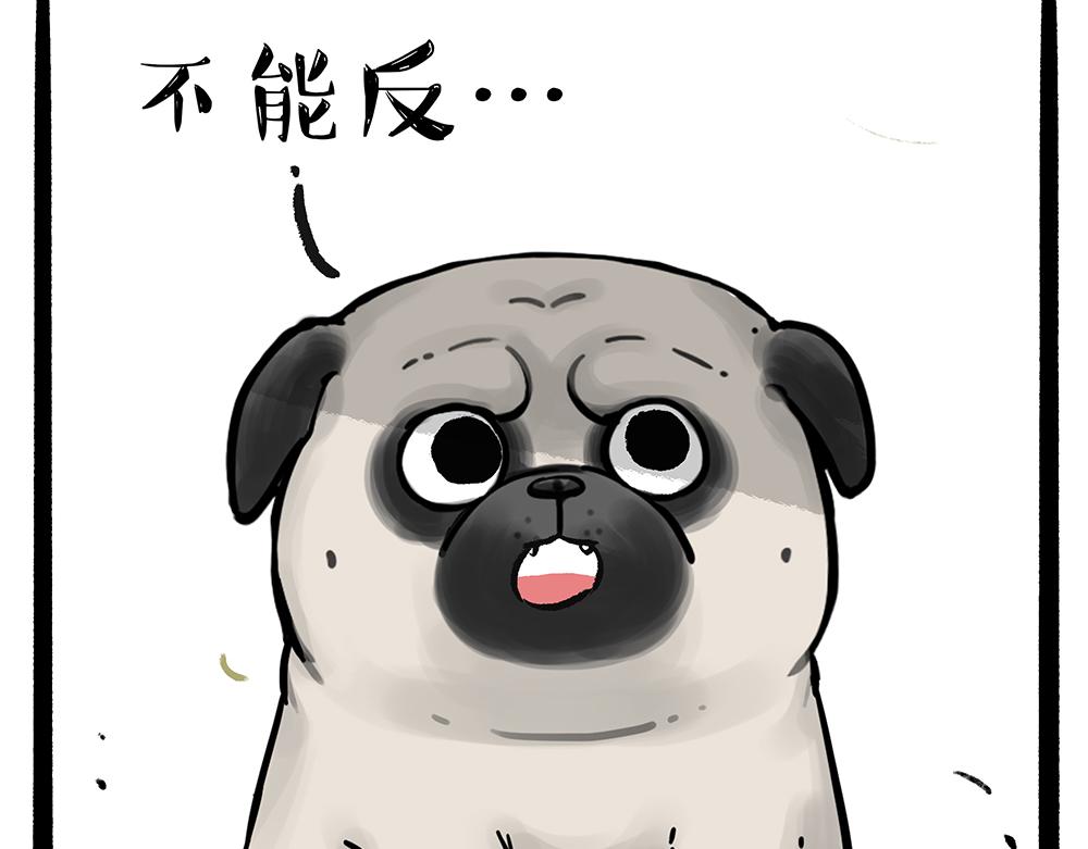 第331话 猫王争霸之“杀青”37