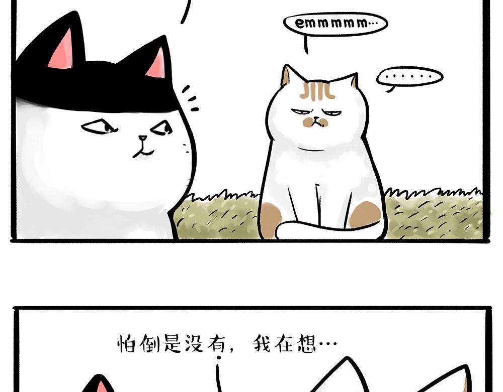 第331话 猫王争霸之“杀青”4