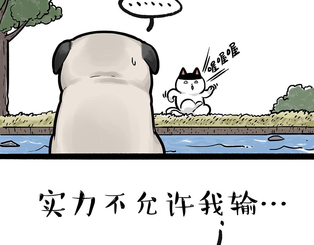 第331话 猫王争霸之“杀青”41
