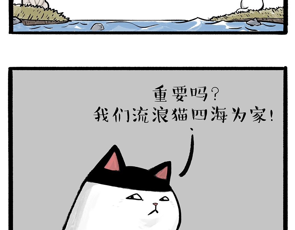第331话 猫王争霸之“杀青”53